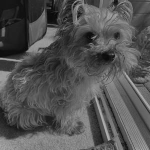 Meet your Posher, Tessa